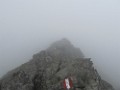 IMG_2816