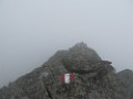 IMG_2817