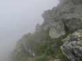 IMG_2818
