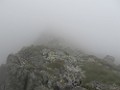 IMG_2821