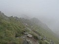IMG_2822