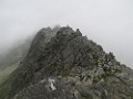 IMG_2825
