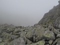 IMG_2826