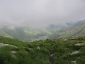 IMG_2830