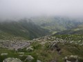 IMG_2831
