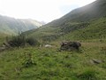 IMG_2841
