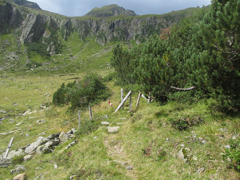 IMG_3203.jpg - Bis hierher ists ja gemütlich, es geht auf knapp 2km gerademal 150hm.                               