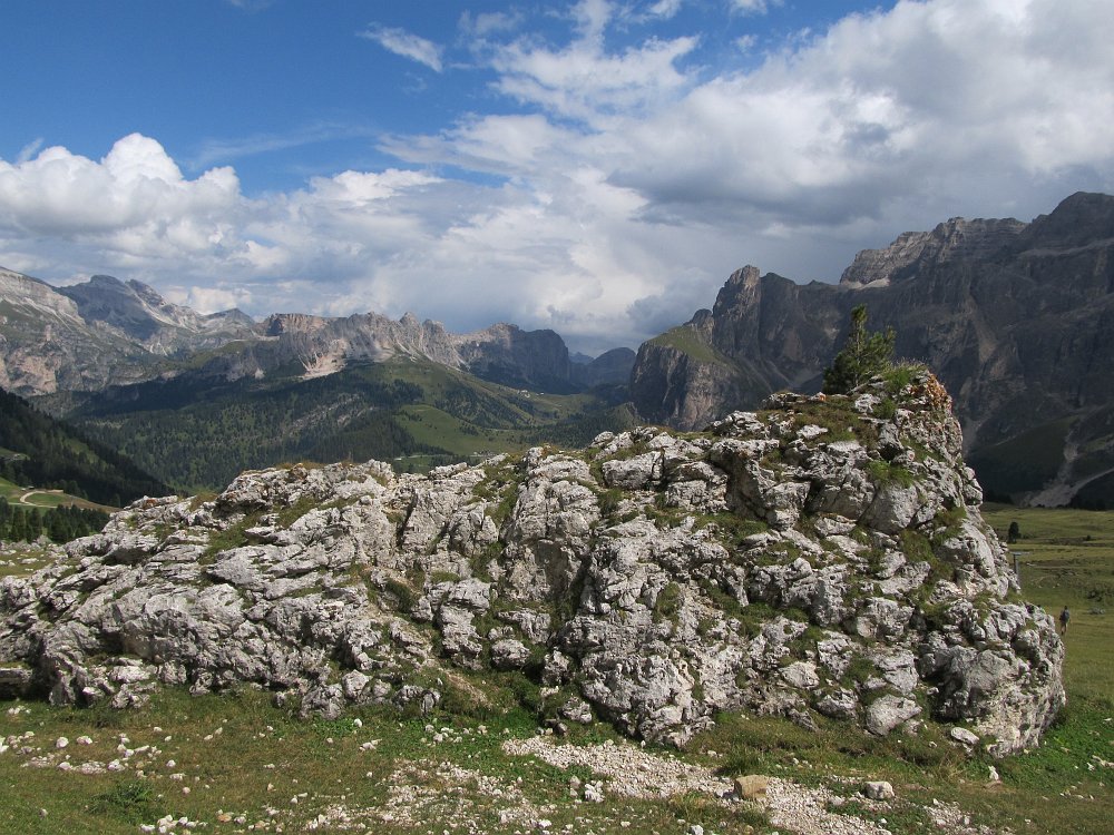 IMG_3517.jpg - Seitenblick                               