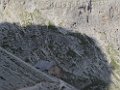 IMG_3442