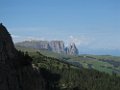 IMG_3455