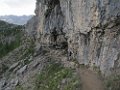 IMG_3494