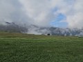 IMG_3566