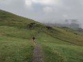 IMG_3570