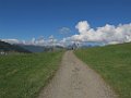 IMG_3713