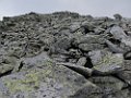 IMG_3840