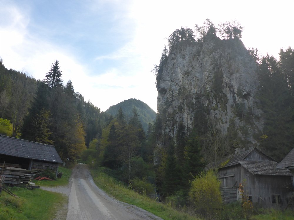 P1060766.JPG - Zuerst also die Straße neben dem Fallenstein hinauf.