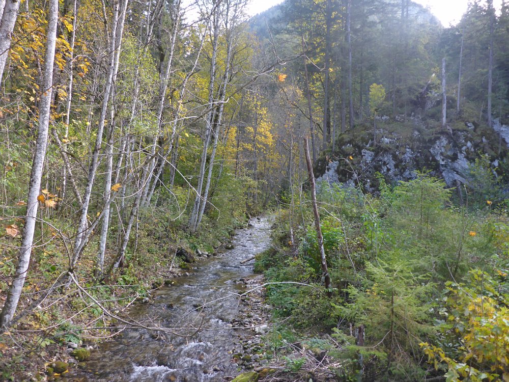 P1060769.JPG - Das obligatorische Brückenfoto. Der Wald rechts ist allerdings weg.