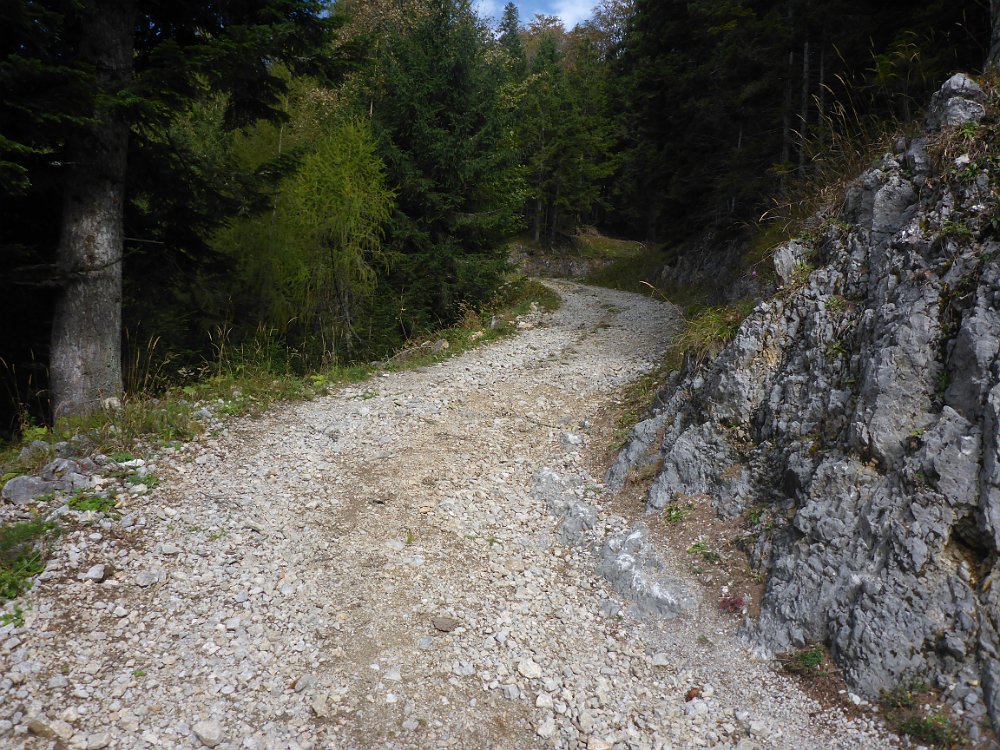 P1060790.JPG - Schließlich erreicht der alte Weg die Straße, die nun stattdessen bis zum Langboden weiterführt.