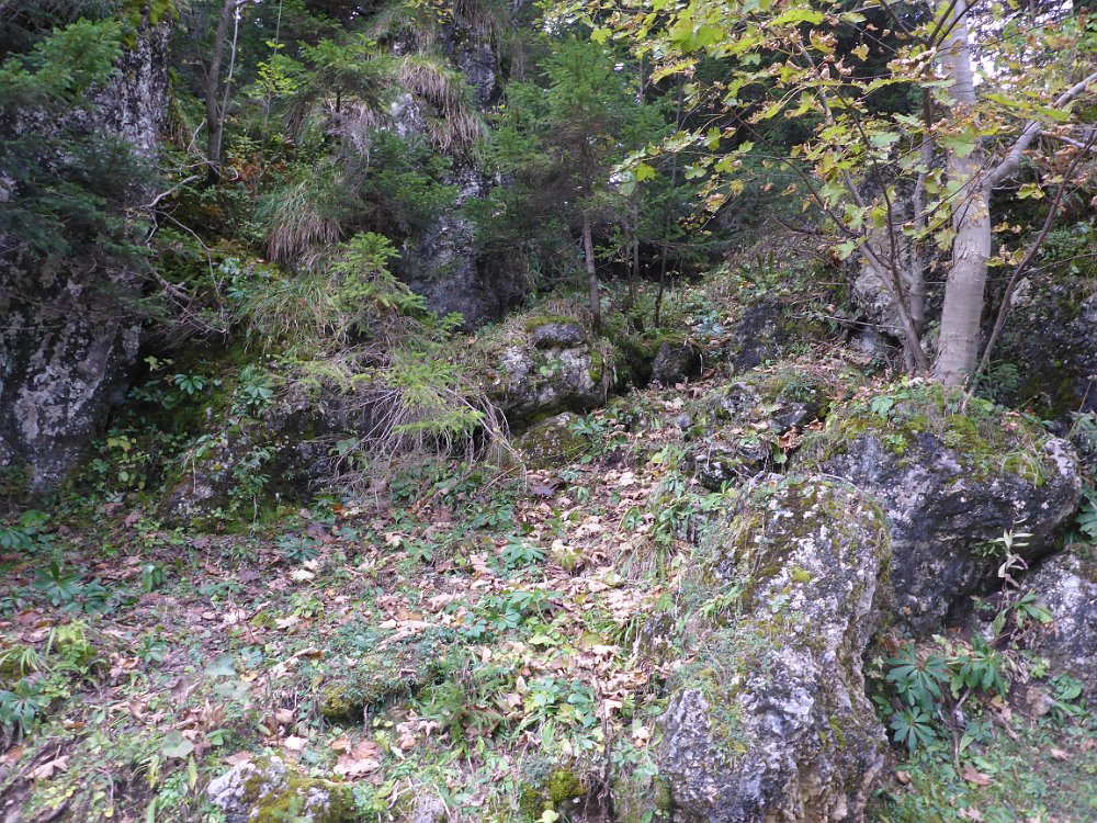 P1060800.JPG - Der "Felsausstieg" hier kam man früher am Felsen vorbei zur..