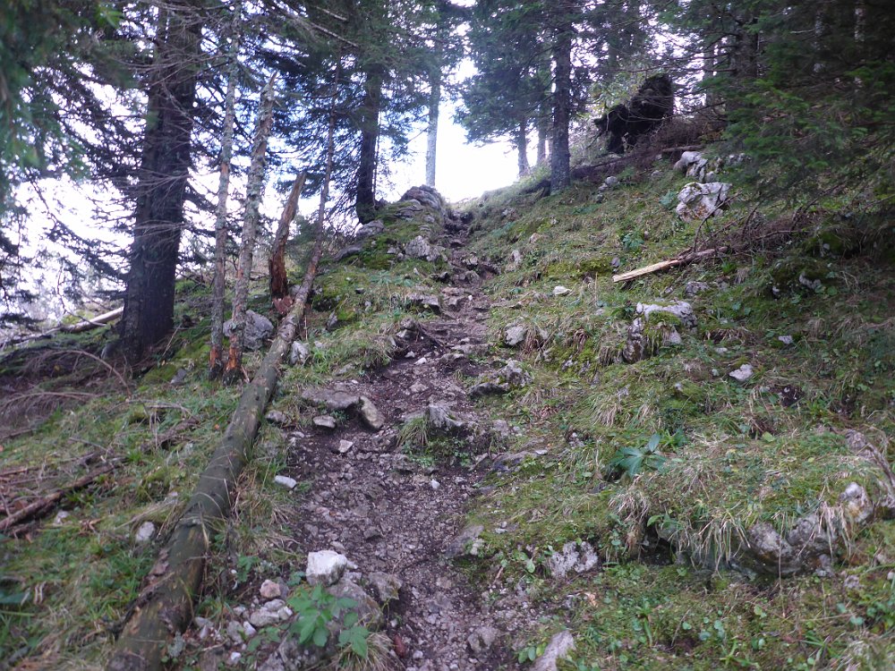 P1060816.JPG - Und weiter...