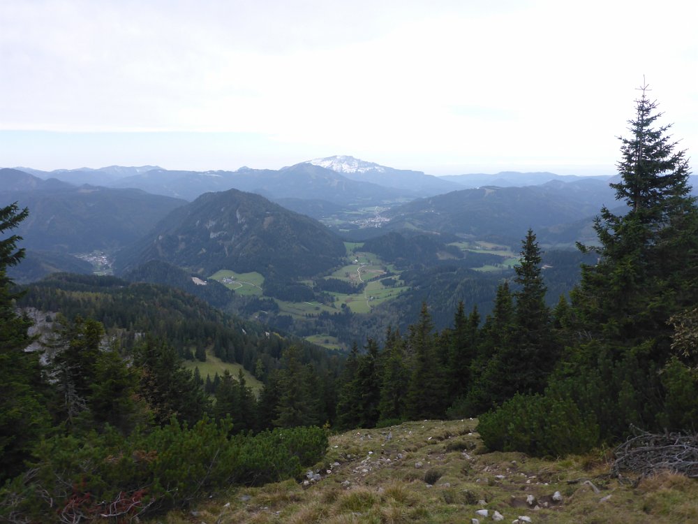 P1060832.JPG - Herrlicher Ausblick- Mariazell und Ötscher.