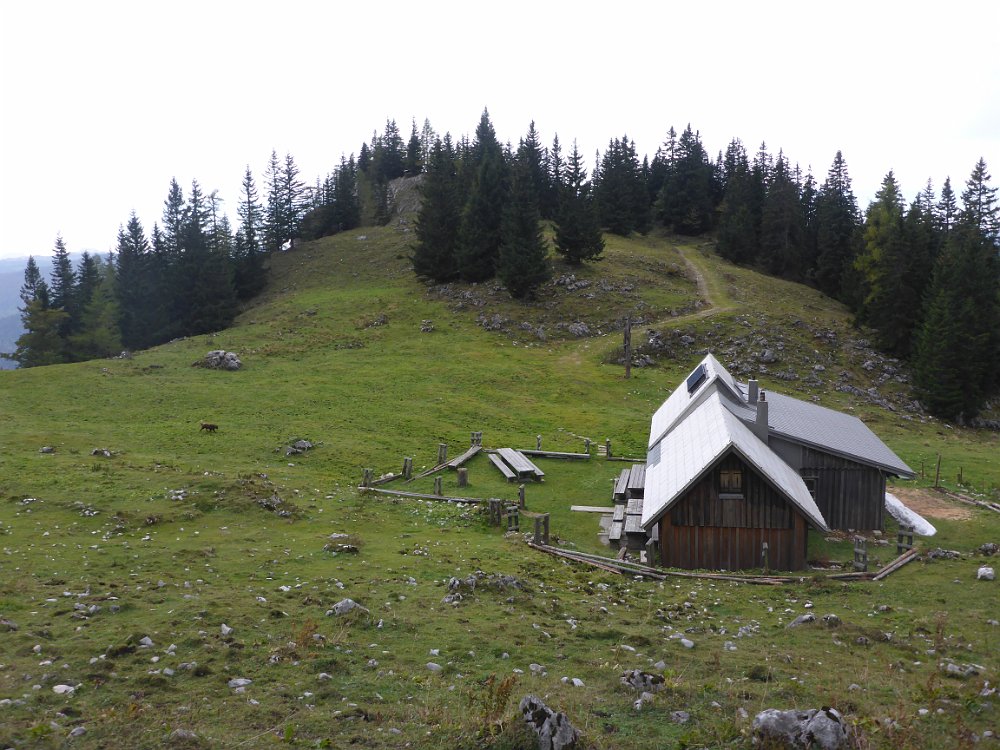 P1060835.JPG - Ich komme rasch wieder zur Hütte.
