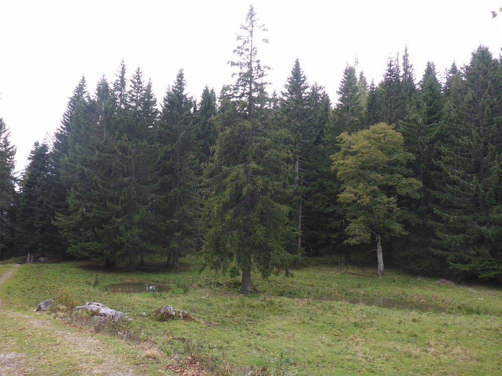 P1060841.JPG - Wieder zurück am Langboden.