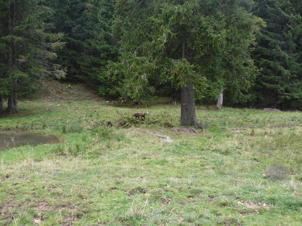 P1060842.JPG - Kurze Rast...