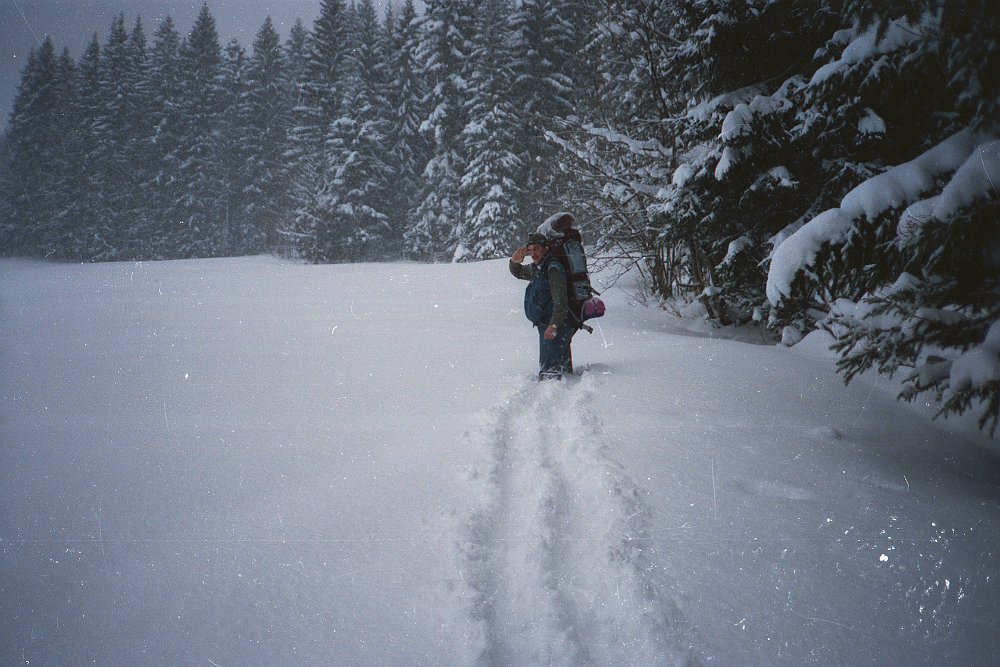 21.jpg - ..denn es war Schneegewühle.