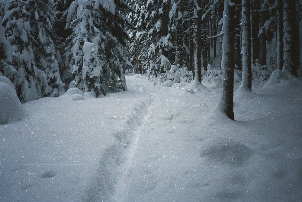 24.jpg - Es war damals einfach zu mühsam. (Foto am nächsten Morgen, die Spuren vom Vortag sind bereits ein wenig zugeschneit)