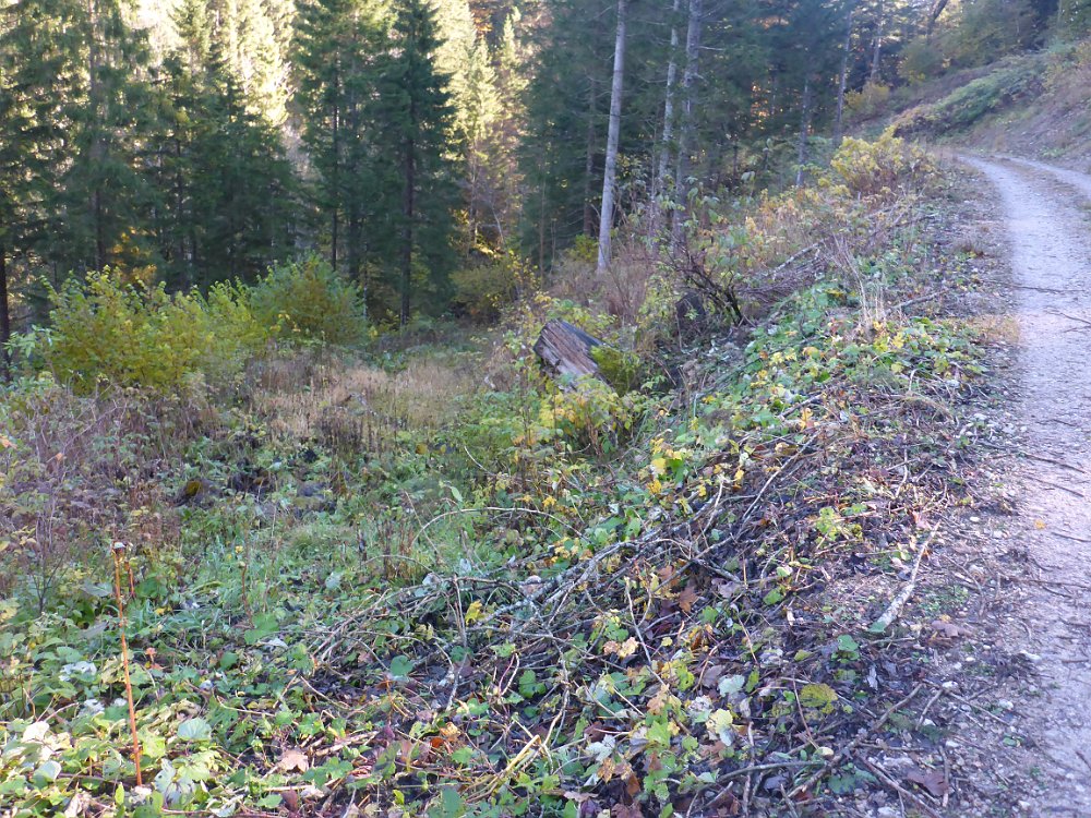 P1060877.JPG - Hmmm. Irgendwie meine ich, dass ich hier hinunter muss. Der verwachsene Weg war damals der reguläre.