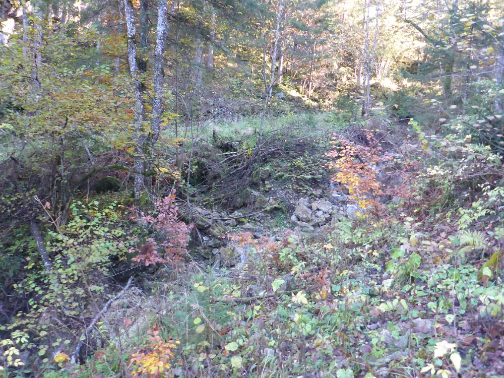 P1060878.JPG - Und tatsächlich. Hier war mal eine kleine Brücke über den Bach. Und der Weg ging hinten von links nach rechts weiter.
