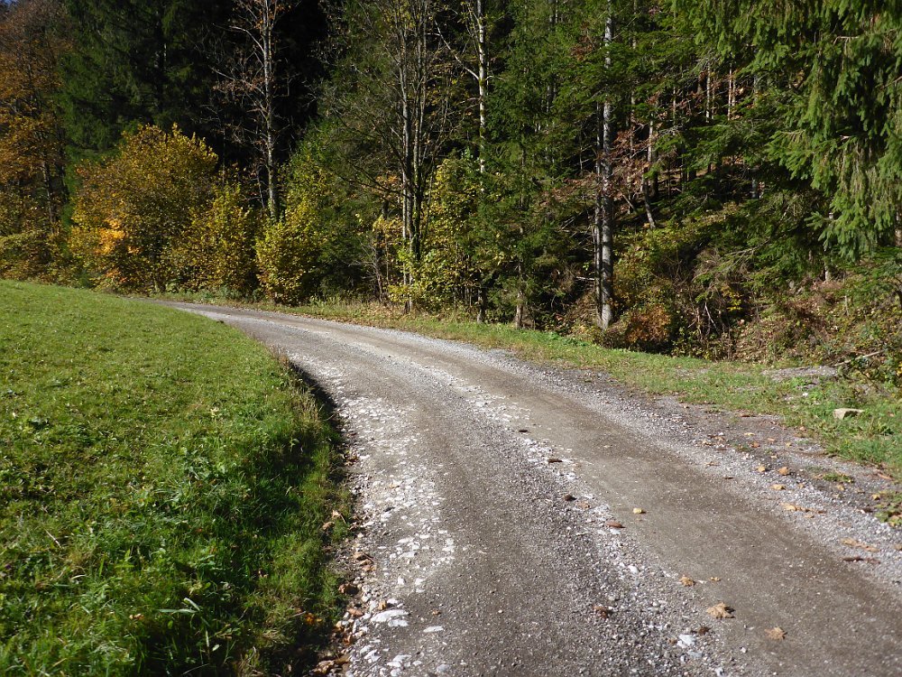 P1060899.JPG - Da in der Kurve war einmal...