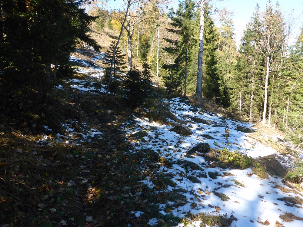 P1060914.JPG - Erster Schnee.