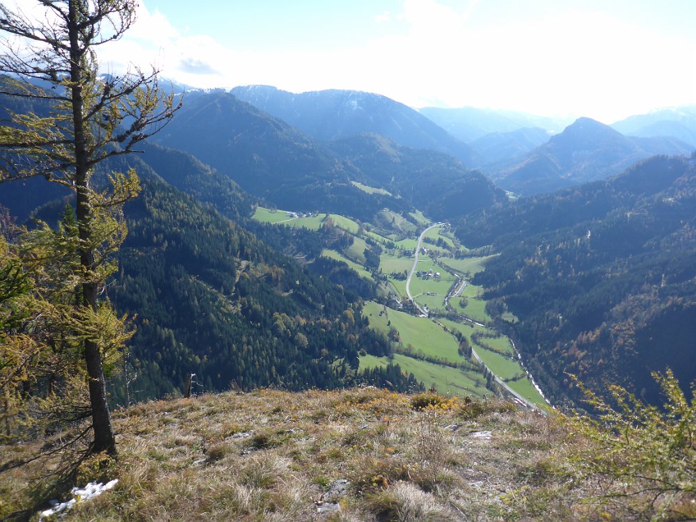 P1060931.JPG - Blick zum Lechnerbauer