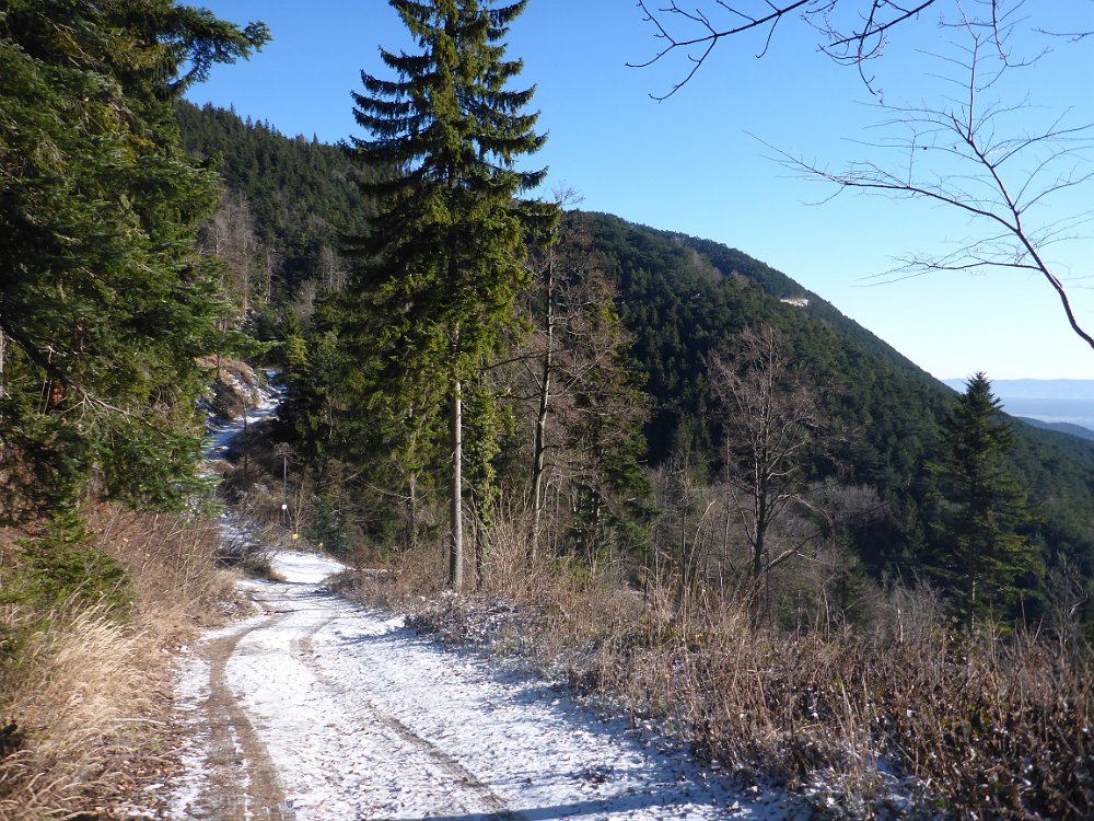 P1060972.JPG - Blick zurück. Ganz wenig Schnee liegt, die Straße ist angenehm aber steil.