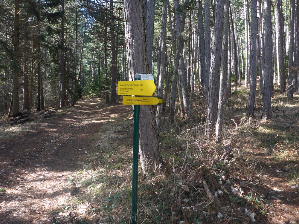 P1080061.JPG - Heute gehe ich zunächst den Leitergraben hinauf.