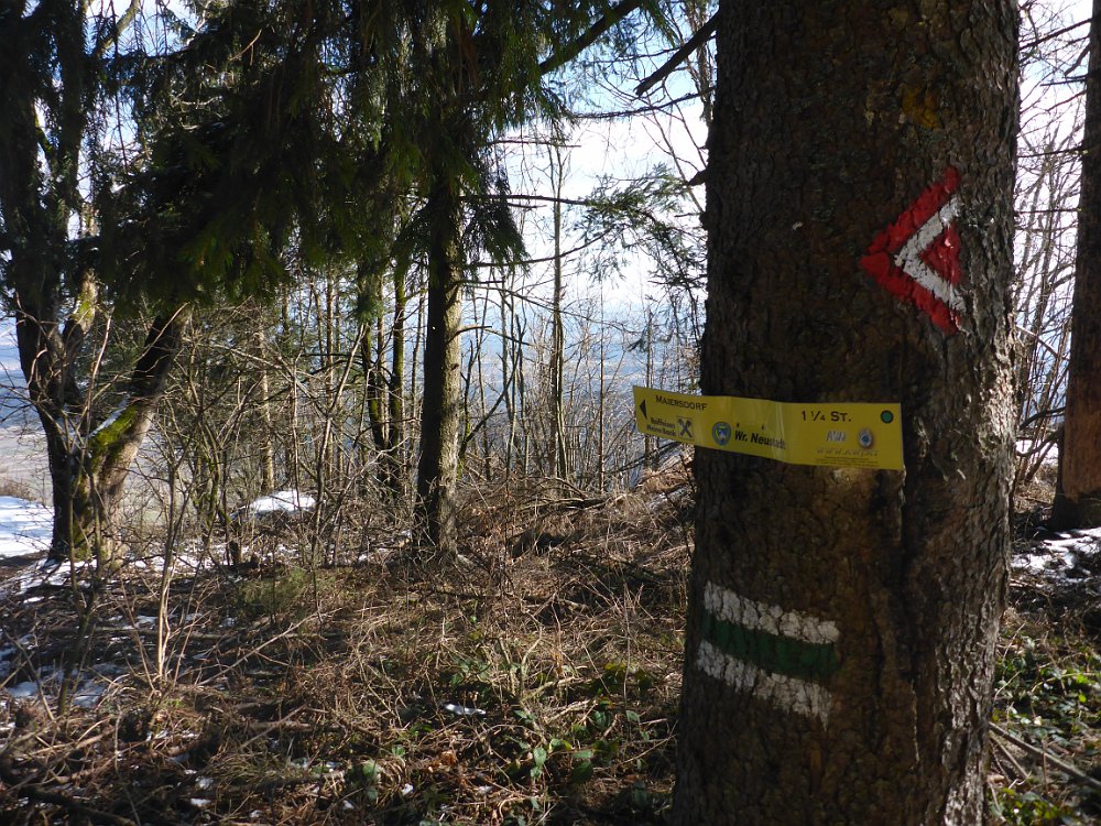 P1080083.JPG - Danach geht es den Straßenbahnerweg hinunter.