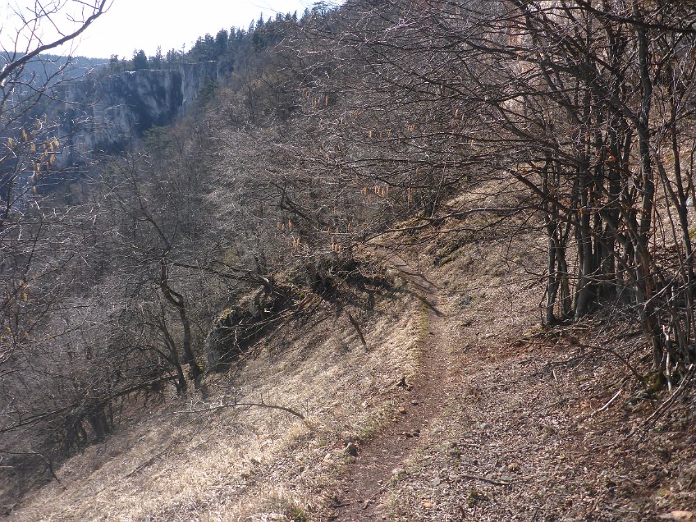 P1080085.JPG - Ich hatte Gatsch befürchtet, aber der hielt sich in Grenzen.