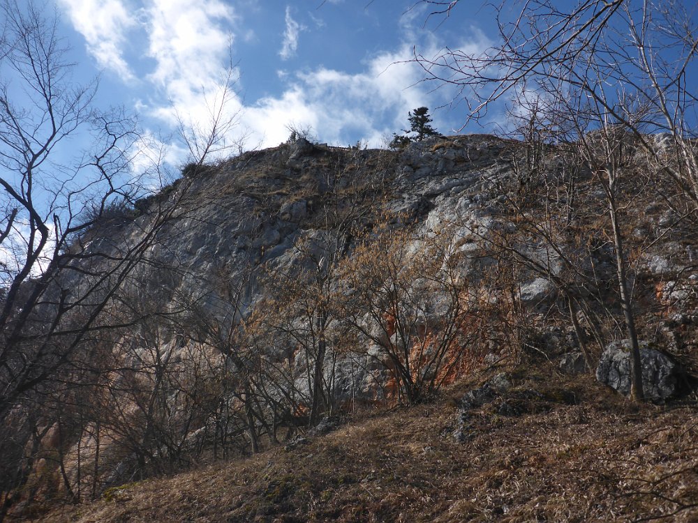 P1080087.JPG - Blick hinauf zum Hochkogelhaus