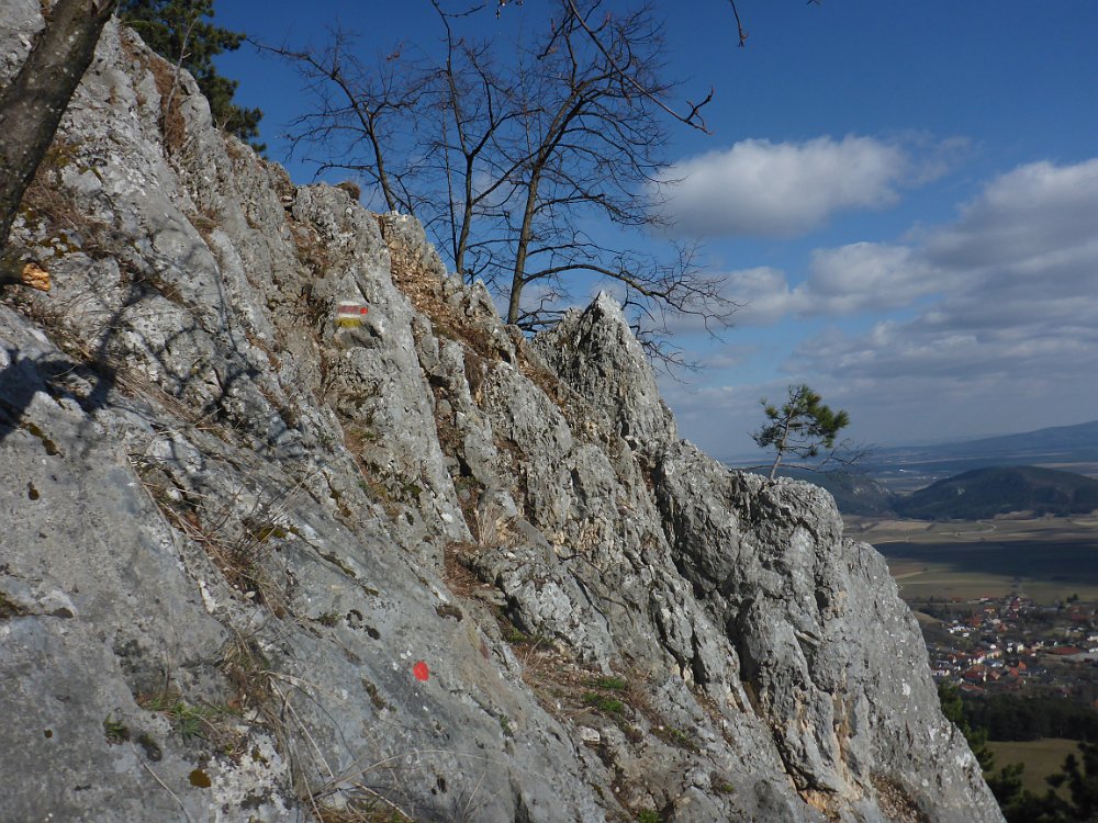 P1080091.JPG - ....für mich ist die Krumme Ries einer der Schönsten Aufstiege auf die Hohe Wand.