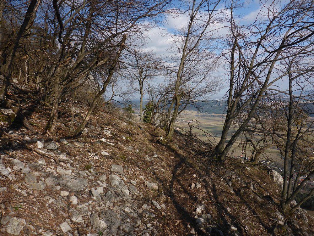 P1080102.JPG - Es wird flacher.