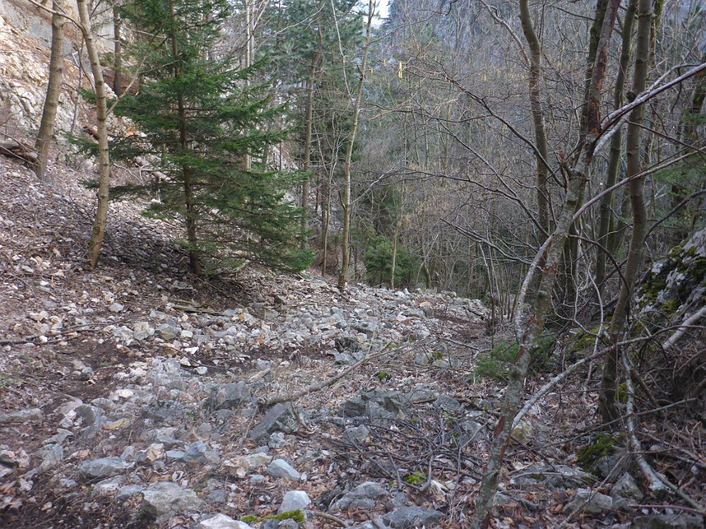 P1080110.JPG - Steiler Abstieg, ich lasse die Stöcke am Rucksack, um die Oberschenkel zu trainieren.