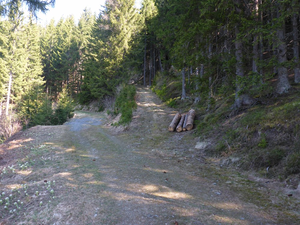 P1080142.JPG - Aber ich nehme die erste Abkürzung, da ich mich nach 300hm noch recht frisch fühle.