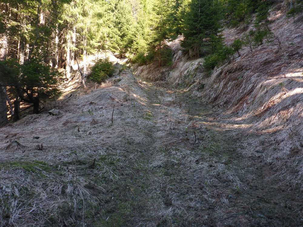 P1080150.JPG - Die Abkürzung wird nun mal ein wenig steiler...