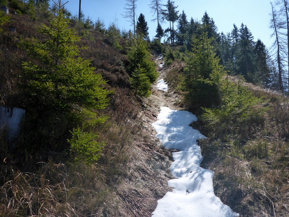 P1080154.JPG - Aha. Erster Schnee. Ich bin ja die Südseite rauf, weil ich gehofft hatte, trockenen Fußes raufzukommen. (ein fataler Irrglaube, wie sich herausstellen wird, da ich keine Schneeschuhe oder Steigeisen mithabe)