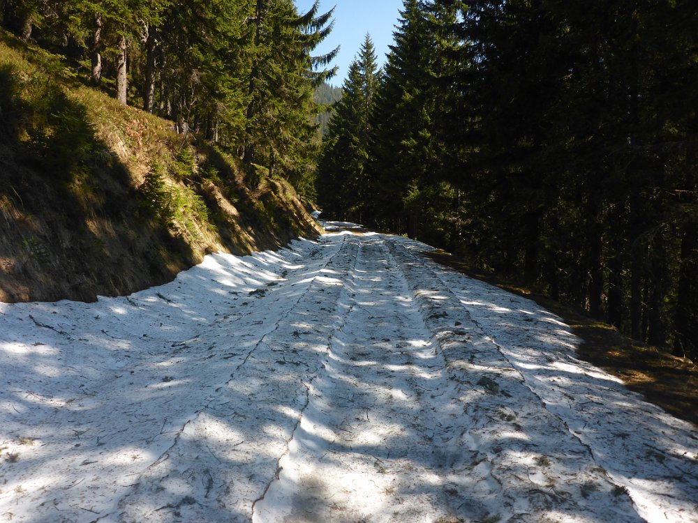 P1080158.JPG - Ein wenig Schneestapferei..