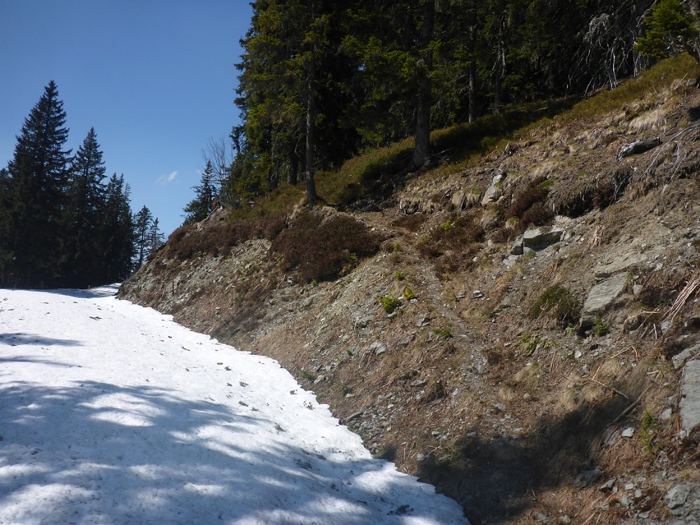 P1080167.JPG - Die Straße ist nicht eingezeichnet, aber der Weg ist erkennbar.