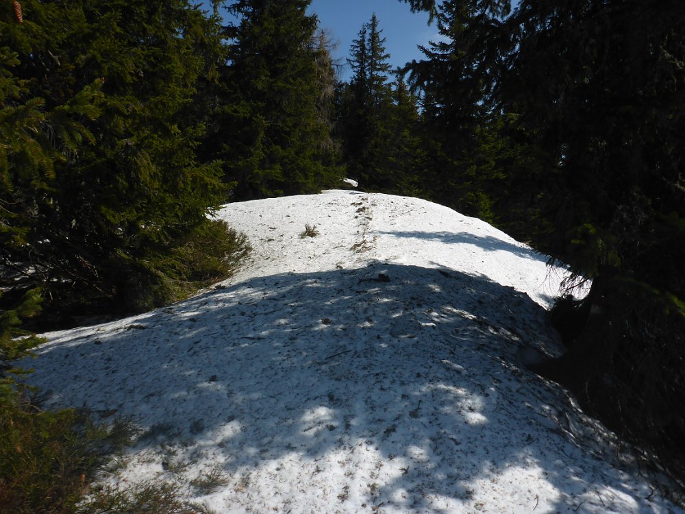 P1080175.JPG - Wer Schneegestapfe in weichen Wechten kennt, weiß, dass die vermeintliche Genußetappe nun zur Schinderetappe wird.