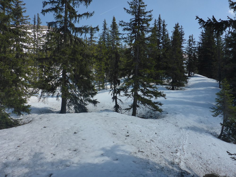 P1080176.JPG - Und wie sie zur Schinderetappe wird. Meine Schneeschuhe liegen daheim...